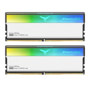 [Team Goup] T-Foce DDR5 PC5-64000 CL38 XTREEM ARGB 화이트 서린 [32GB (16GB*2)] (8000), 1세트, T-Foce XTREEM ARGB 화이트
