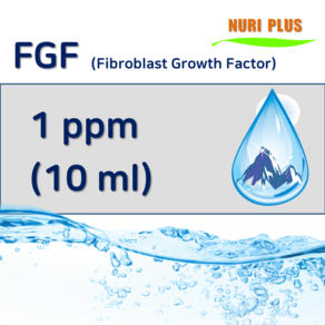 FGF 에프지에프 진피세포 피부탄력 주름 보습 1ppm/10ml, 1개, 10ml