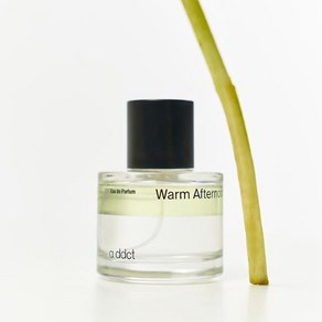 [NEW] 에이딕트 오 드 퍼퓸 웜 애프터눈 50ml 1개