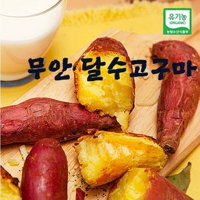 무안 유기농 햇고구마 꿀 달수고구마 보통 3kg 5kg 10kg, 1박스