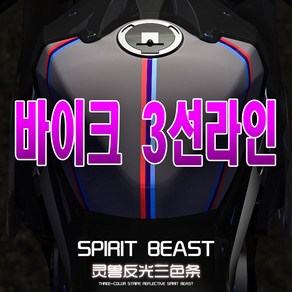 피트인 스피릿비스트 데칼 스티커 반사스티커 오토바이 BMW 데칼스티커, 1개, (선택3번)SBT M라인