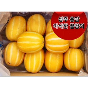 <제주빛가람> 성주 용암 참외 산지직송 달콤한 꿀 참외, 1박스, 2kg 중과(5-8개 내외)