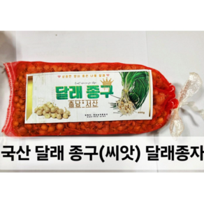 달래씨앗 400g 달래종구 종자, 1개