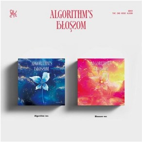 개봉앨범 포토카드 없음 / QWER (큐더블유이알) - 2nd Mini ALBUM [Algoithm's Blossom], Blossom