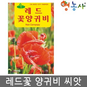 레드 꽃 양귀비 씨앗 1000립 영농사, 1개