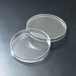 SPL 페트리디쉬 90x15mm 10EA