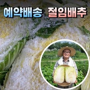 예약배송 강원도 해남 절임배추 고랭지 국산 소금 천일염 직거래 10kg 20kg 김치양념장 양념세트