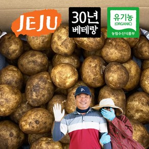 [농슐랭] 제주 무농약 유기농 대지마 감자 알감자 특감자 3kg 5kg 10kg