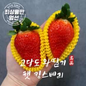 왕딸기 고당도 킹스베리 특품 논산 딸기, 1박스, 킹스베리 800g(12~18과)