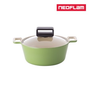 네오플램 큐브 찌개 양수냄비, 20cm, 리프그린