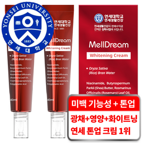 연세생활건강 멜드림 3중 미백 기능성 진정 보습 화이트닝 쌀 톤업 크림, 2개, 40ml