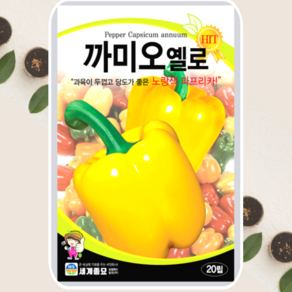 파프리카씨앗 까미오옐로 파프리카 종자 20립 세계종묘, 1개