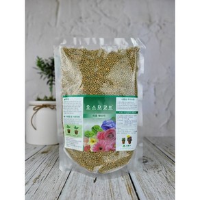 단지네 오스모코트 1kg +화분장식세트(무당), 1개