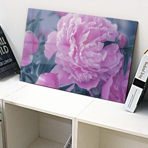 꾸밈데코_전면아크릴코팅액자_몽환적인풍수작약꽃(대형)(ps490)_인테리어액자벽장식월데코벽걸이액자, 1개