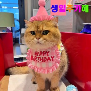 알파벳샵 강아지 고양이 생일 파티 고깔 숫자 세트 * 2개, 1세트, 핑크