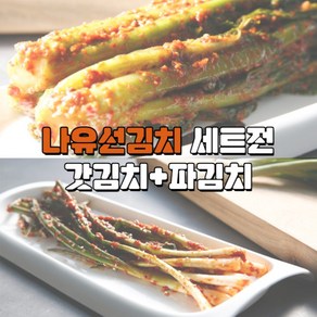 [나유선] 갓김치1kg+파김치1kg 나유선의 전라도 여수 돌산 삼채소스, 1kg, 2개