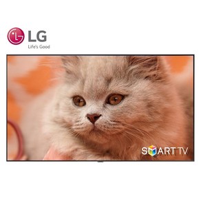 LG 65인치 4K 올레드 스마트 UHD TV OLED65GX 갓딜특가, 방문설치, 벽걸이형