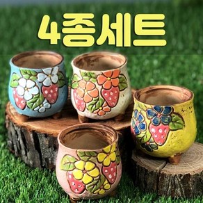 다육맘 수제화분 딸기4