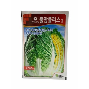 불암플러스배추씨앗 2000립 [24년포장] 김장 배추 씨앗, 1개