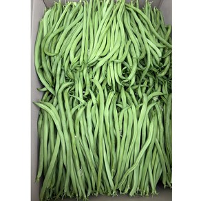 [금성식품] 중국줄당콩 쨔뚜왕 볶아먹는채당콩 500g, 1개