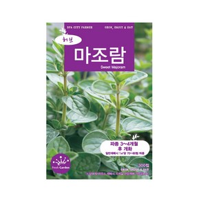 (CN) 마조람 씨앗 (300립), (CN)마조람씨앗(300립), 1개