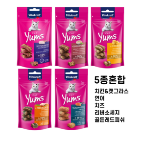 비타크래프트 고양이간식 캣얌, 5개, 5종혼합, 40g