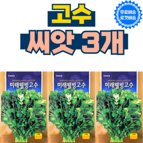 고수씨앗(300립) 3개 샹차이 고수키우기 향채 CORIANDER 코리앤더 씨 종자