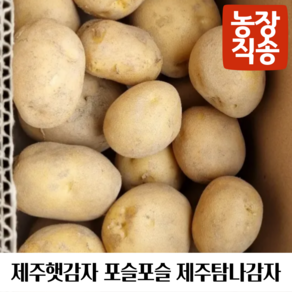 제주 구좌 산지직송 햇 감자 5kg 10kg, 구좌햇감자 특 10kg, 1개, 10kg 특