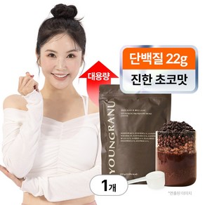 영라뉴 프로틴 핏 쉐이크 대용량 장영란 단백질 코코아 영란뉴, 630g, 1개