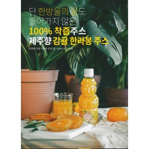 제주향 한라봉 감귤 주스 리얼착즙 24개 과일주스, 330ml