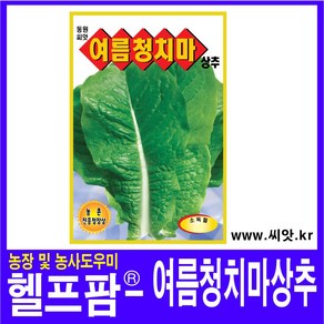 헬프팜 여름청치마 상추 3g 종자 씨앗 동원농산종묘, 1개