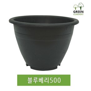 블루베리화분 500 대형화분 분갈이 텃밭 도로용 나무심기 옥상나무