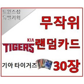 기아 타이거즈 야구 포토카드 랜덤카드 30장 트윈스샵 야구카드 야구팬 선물 수집, 1개