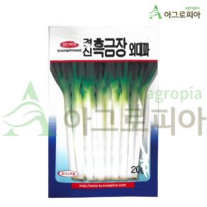 경신종묘 흑금장외대파 씨앗, 20g, 1개