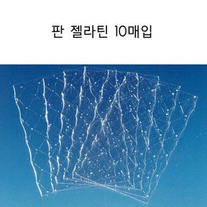 판젤라틴 10매입 소분 젤리만들기 젤라틴가루 홈베이킹 베이킹재료 하나베이킹, 1개