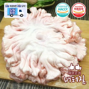 (배터짐) 국내산 손질 돼지 도래창 특수부위, 1개, 1kg