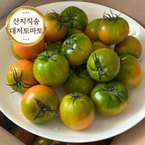 [로얄특품] 단짠 중독적인 대저 짭짤이토마토, 1개, 2.5kg(로얄)