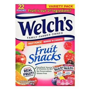 [미국직배송]웰치스Welch's 프루트 스낵 젤리 561g (22개입x22.5g)