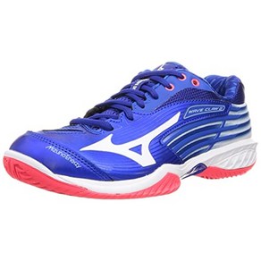 MIZUNO 미즈노 웨이브 클로 2 배드민턴화 71GA2110