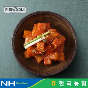 [한국농협김치] 전라도 순천 남도 깍두기 3kg, 1개