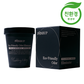 순숲 친환경 살균 탈취제 겔타입 블랙베리엔베리, 1개, 250ml