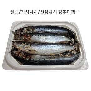 바다낚시용미끼싱싱한정어리