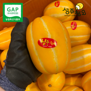 당일수확 산지직송 고당도 꿀 성주참외, 1개, 3kg 랜덤과