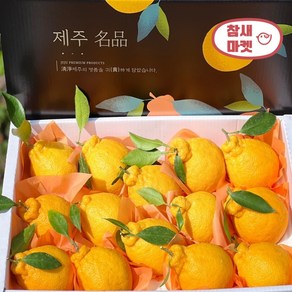 참새마켓 한라봉 선물세트 설선물세트, 선물용 중과 1.5kg(7~9개내외), 1개