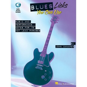 Blues Licks You Can Use 블루스 기타 릭 교본 (온라인 음원 포함) Hal Leonad 할 레오나드