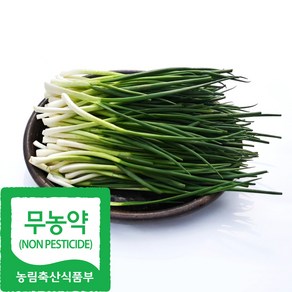 산지직송 국내산 유기농 깐쪽파 손질 쪽파