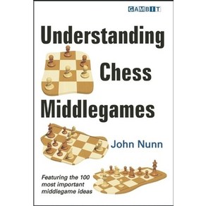 (영문도서) Undestanding Chess Middlegames Papeback, Gambit Publications, English, 9781906454272