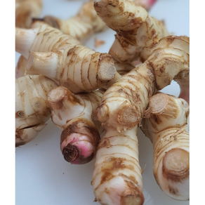 [빠른배송] 생 갈랑갈 1KG GALANGAL 동남아시아 향신료 수입생강 갈랑가 동남아야채 똠양꿍 령 양강, 1박스