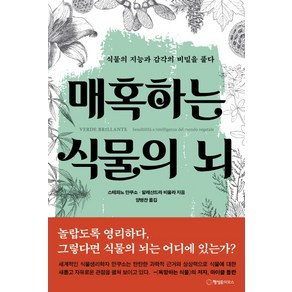 매혹하는 식물의 뇌:식물의 지능과 감각의 비밀을 풀다, 행성B, 스테파노 만쿠소, 알레산드라 비올라