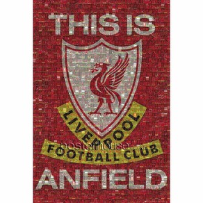 MAXI Poste 포스터 61x91 - 리버풀 LIVERPOOL mosaic, 포스터만구매